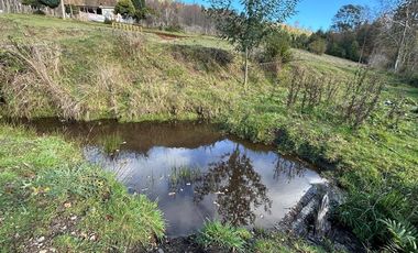CAMPO EN VENTA- VILLARRICA- CALIDAD INDIGENA