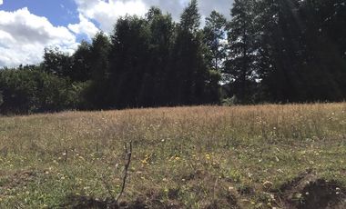 CAMPO EN VENTA- VILLARRICA- CALIDAD INDIGENA