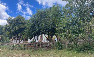 CAMPO EN VENTA- VILLARRICA- CALIDAD INDIGENA