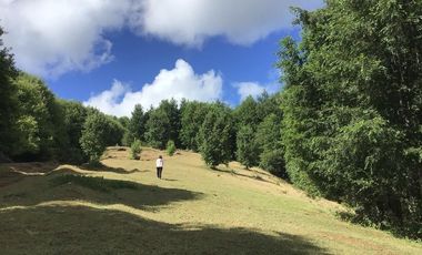 CAMPO EN VENTA- VILLARRICA- CALIDAD INDIGENA