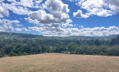 CAMPO EN VENTA- VILLARRICA- CALIDAD INDIGENA