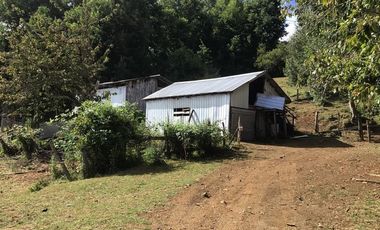 CAMPO EN VENTA- VILLARRICA- CALIDAD INDIGENA