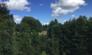 CAMPO EN VENTA- VILLARRICA- CALIDAD INDIGENA