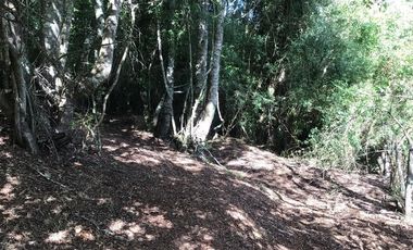 CAMPO EN VENTA- VILLARRICA- CALIDAD INDIGENA