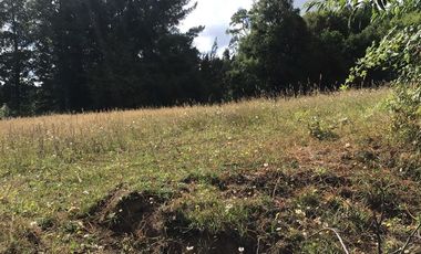 CAMPO EN VENTA- VILLARRICA- CALIDAD INDIGENA