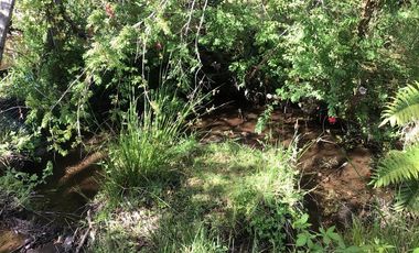 CAMPO EN VENTA- VILLARRICA- CALIDAD INDIGENA