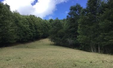 CAMPO EN VENTA- VILLARRICA- CALIDAD INDIGENA