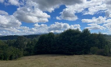CAMPO EN VENTA- VILLARRICA- CALIDAD INDIGENA