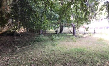 CAMPO EN VENTA- VILLARRICA- CALIDAD INDIGENA