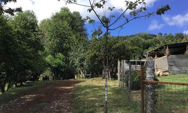 CAMPO EN VENTA- VILLARRICA- CALIDAD INDIGENA