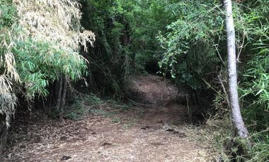 CAMPO EN VENTA- VILLARRICA- CALIDAD INDIGENA