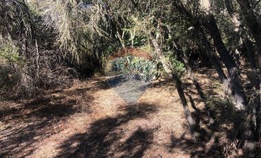 Casa en parcela rebajada Maria pinto