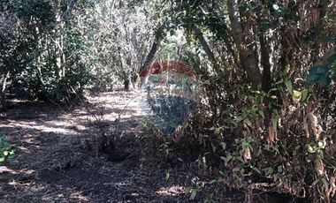 Casa en parcela rebajada Maria pinto