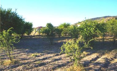 INCREIBLE PRECIO! PARCELA 10 MINUTOS DE MARCHIGUE