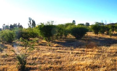 INCREIBLE PRECIO! PARCELA 10 MINUTOS DE MARCHIGUE