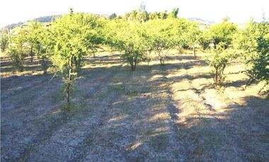 INCREIBLE PRECIO! PARCELA 10 MINUTOS DE MARCHIGUE