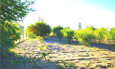 INCREIBLE PRECIO! PARCELA 10 MINUTOS DE MARCHIGUE