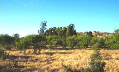 INCREIBLE PRECIO! PARCELA 10 MINUTOS DE MARCHIGUE