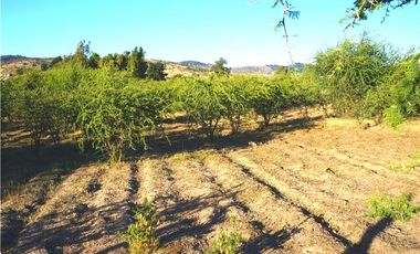 INCREIBLE PRECIO! PARCELA 10 MINUTOS DE MARCHIGUE