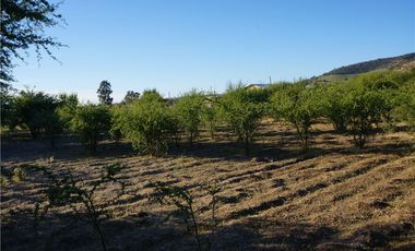 INCREIBLE PRECIO! PARCELA 10 MINUTOS DE MARCHIGUE