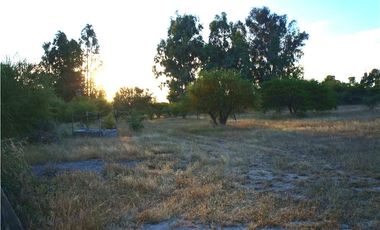 INCREIBLE PRECIO! PARCELA 10 MINUTOS DE MARCHIGUE