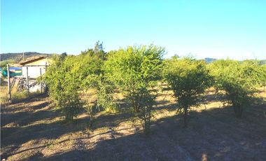 INCREIBLE PRECIO! PARCELA 10 MINUTOS DE MARCHIGUE