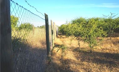 INCREIBLE PRECIO! PARCELA 10 MINUTOS DE MARCHIGUE