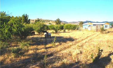 INCREIBLE PRECIO! PARCELA 10 MINUTOS DE MARCHIGUE