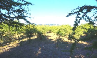 INCREIBLE PRECIO! PARCELA 10 MINUTOS DE MARCHIGUE