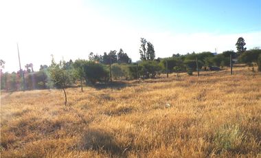 INCREIBLE PRECIO! PARCELA 10 MINUTOS DE MARCHIGUE