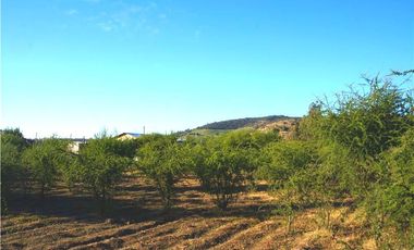 INCREIBLE PRECIO! PARCELA 10 MINUTOS DE MARCHIGUE