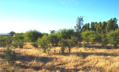 INCREIBLE PRECIO! PARCELA 10 MINUTOS DE MARCHIGUE