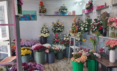 Propiedad Mixta en el Centro de Tomé