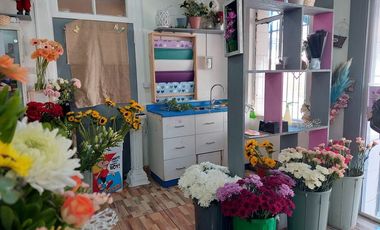 Propiedad Mixta en el Centro de Tomé