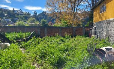 Propiedad Mixta en el Centro de Tomé
