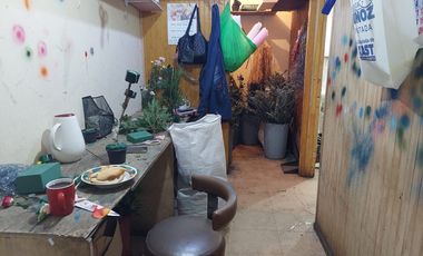 Propiedad Mixta en el Centro de Tomé