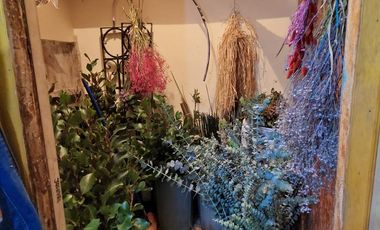 Propiedad Mixta en el Centro de Tomé