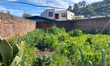 Propiedad Mixta en el Centro de Tomé