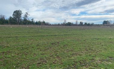 Imperdible Oportunidad. Campo en Los Ángeles