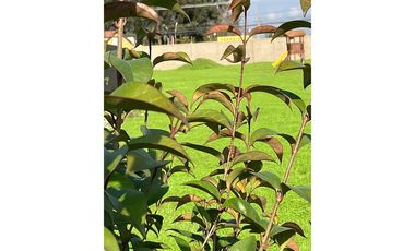 PRECIO CYBER - Parcela en Exclusivo Condominio!!