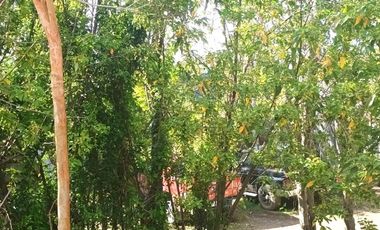 Venta de cabañas en Pucón