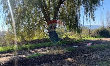 PARCELA EN PICHIDEGUA BAJAMOS EL PRECIO