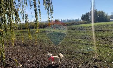 PARCELA EN PICHIDEGUA BAJAMOS EL PRECIO