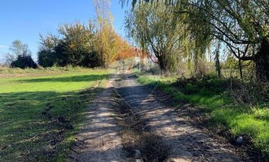 PARCELA EN PICHIDEGUA BAJAMOS EL PRECIO