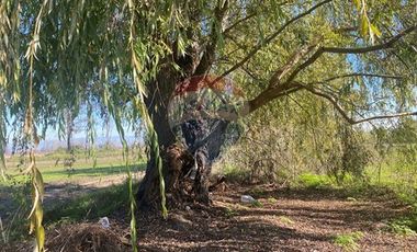 PARCELA EN PICHIDEGUA BAJAMOS EL PRECIO