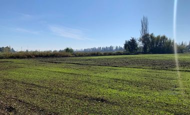 PARCELA EN PICHIDEGUA BAJAMOS EL PRECIO