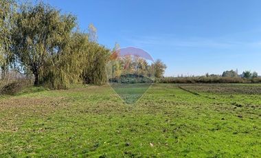 PARCELA EN PICHIDEGUA BAJAMOS EL PRECIO