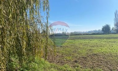 PARCELA EN PICHIDEGUA BAJAMOS EL PRECIO