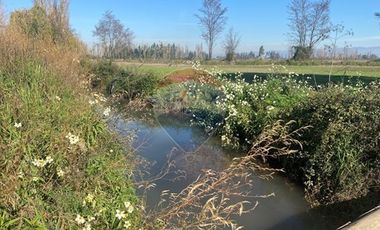 PARCELA EN PICHIDEGUA BAJAMOS EL PRECIO