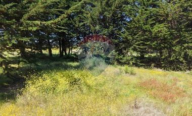 Terreno exclusivo a pasos del mar en Cahuil